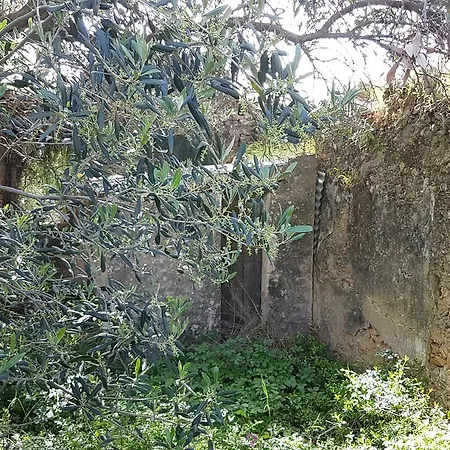 Seabreeze Μηνιά